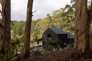 StillwoodRetreat-Web_c233-36ff-be04-7ada-67f5-f4fe-65db-41ce_20250822045158