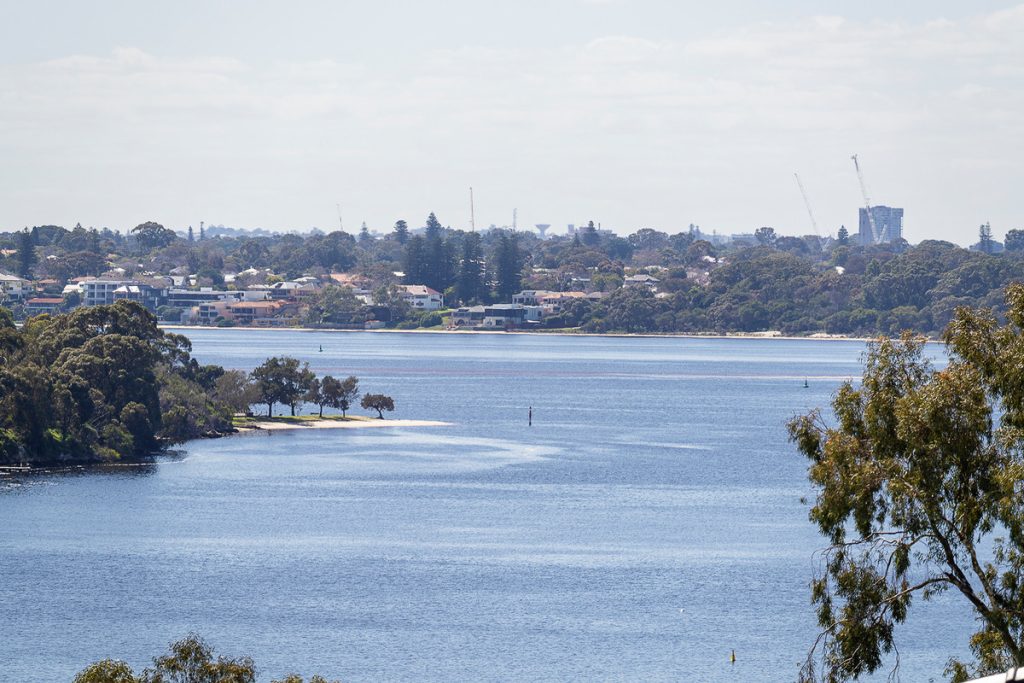 _DSC4735_f237-9482-f379-421f-eb7e-c813-fce3-8f94_20250912054624