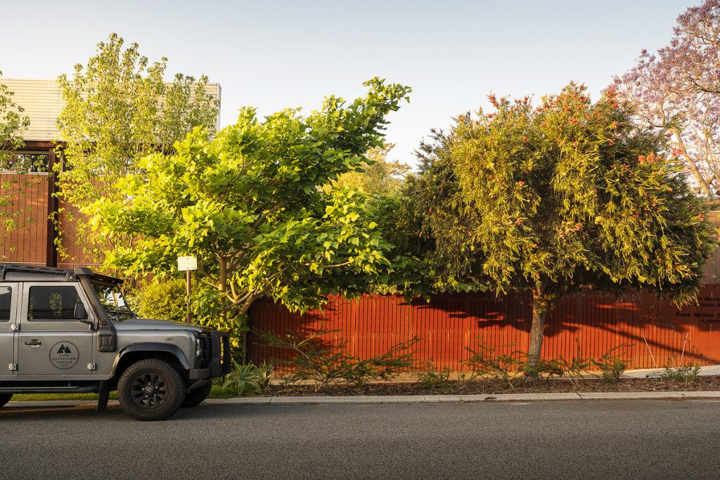 _DSC6919_a00a-bb65-f6cb-2aca-ccdf-281a-67c4-8aab_20250327021514