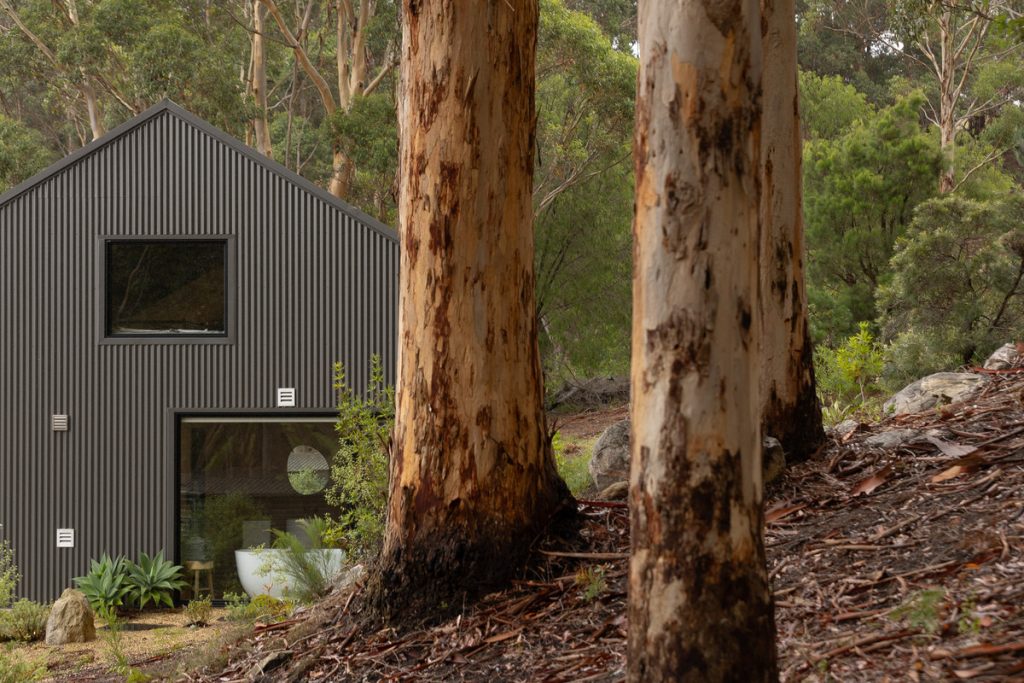 StillwoodRetreat-Web_4f18-2501-c2a9-65f9-3c86-4987-43ca-3e9d_20250822045136